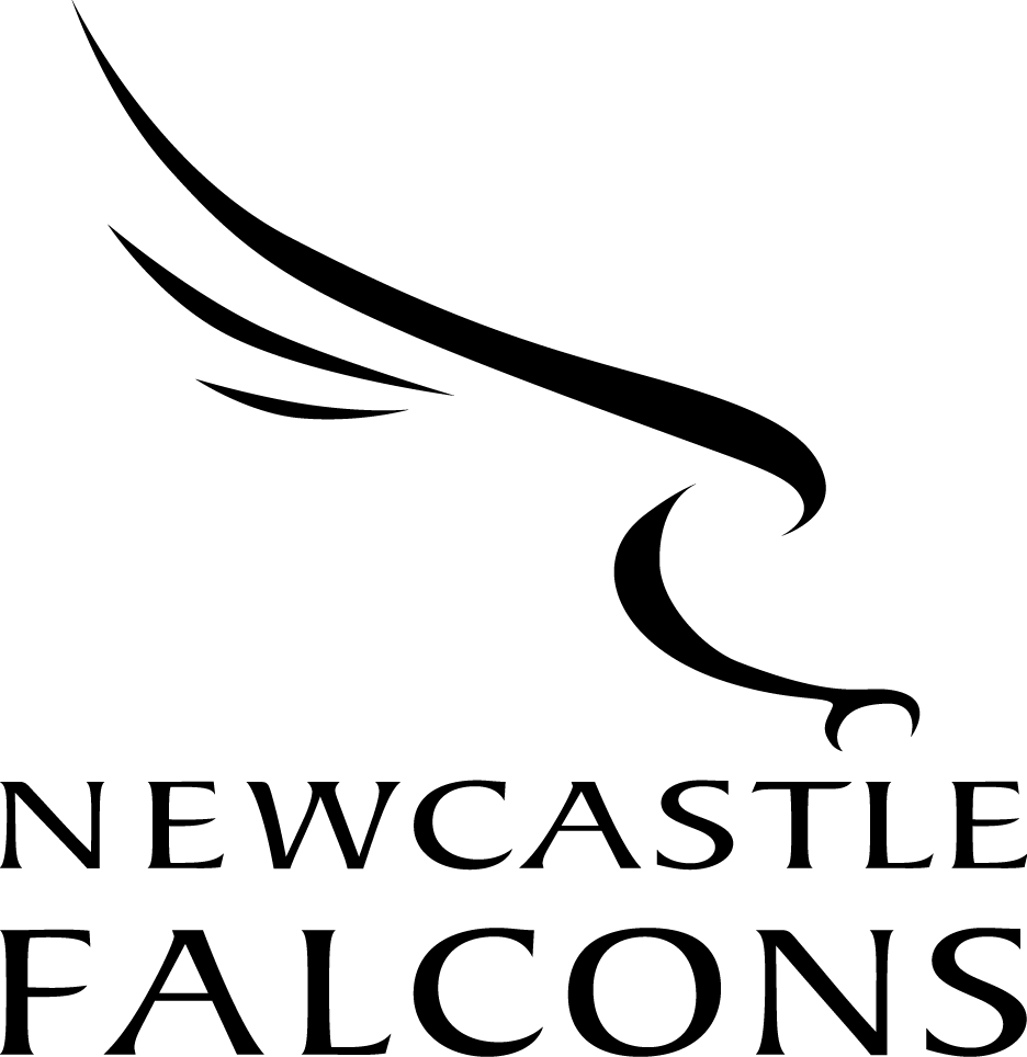 newcastle falcons pres primary logo iron on transfers for clothing